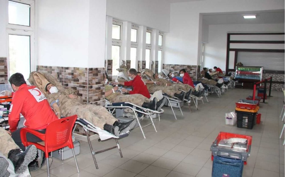 Mehmetçik canını da kanını da veriyor! 1188 askerden kan bağışı desteği