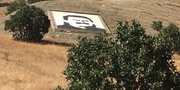 Mehmetçik operasyon başlattı, PKK'lı itler kaçmaya başladı