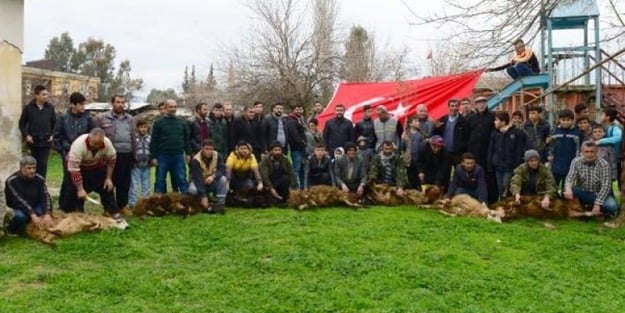 Mehmetçik'e 8 kurban!