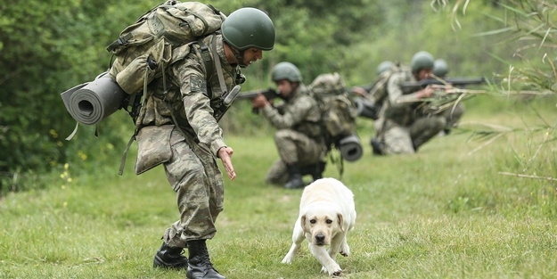 Mehmetçik'i hain tuzaklardan kurtardılar