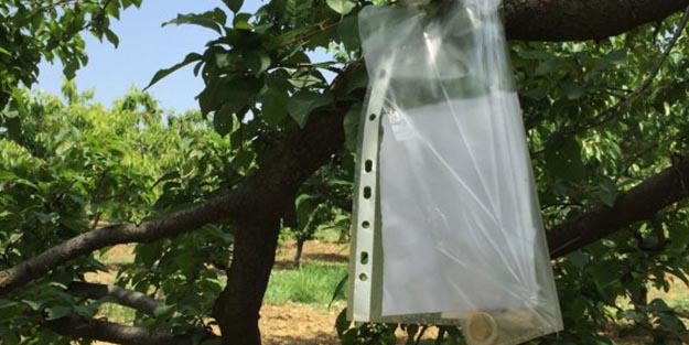 Mehmetçik'ten ''helal olsun'' denilecek hareket!