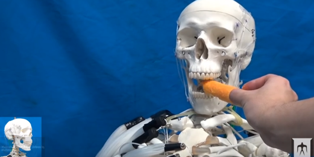 Robotlar artık böyle olacak!