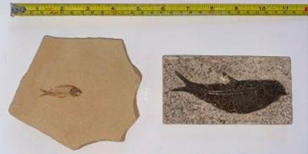 Meksika, çalınan 65 Hispanik öncesi arkeolojik parçayı teslim aldı