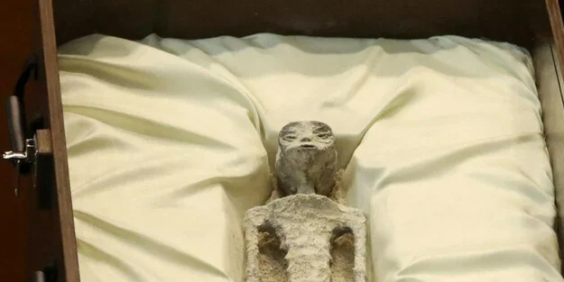 Meksika Kongresi'nde 1000 yaşında tahmin edilen fosiller! Eski askeri memurun paylaşımı şaşkına çevirdi