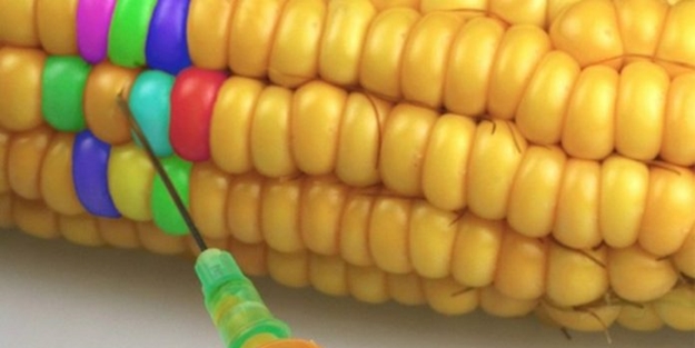 Meksika tamamen yasakladı! Türkiye'de son durum ne?