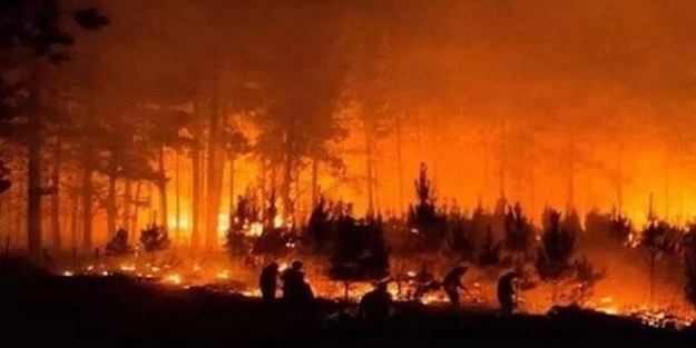 Meksika’da 7 eyalette orman yangını