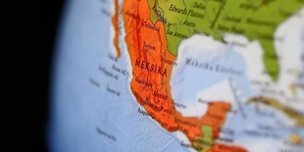 Meksika'da çok sayıda yunus karaya vurdu! Otopsi yapılacak