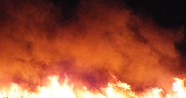 Meksika'da oto hırsızını cayır cayır yaktılar