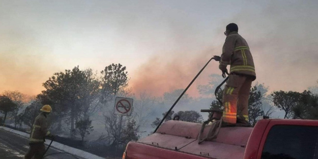 Sıcak hava orman yangınlarını artırdı