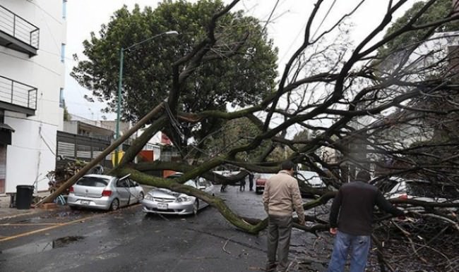 Meksika'da şiddetli fırtına: 5 ölü