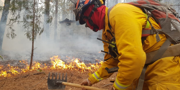 Meksika'da son 24 saatte 39 orman yangını
