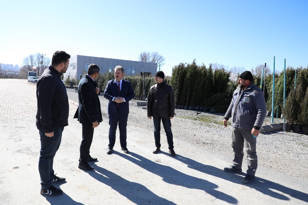 Melikgazi için tırlarla ağaçlar geliyor 