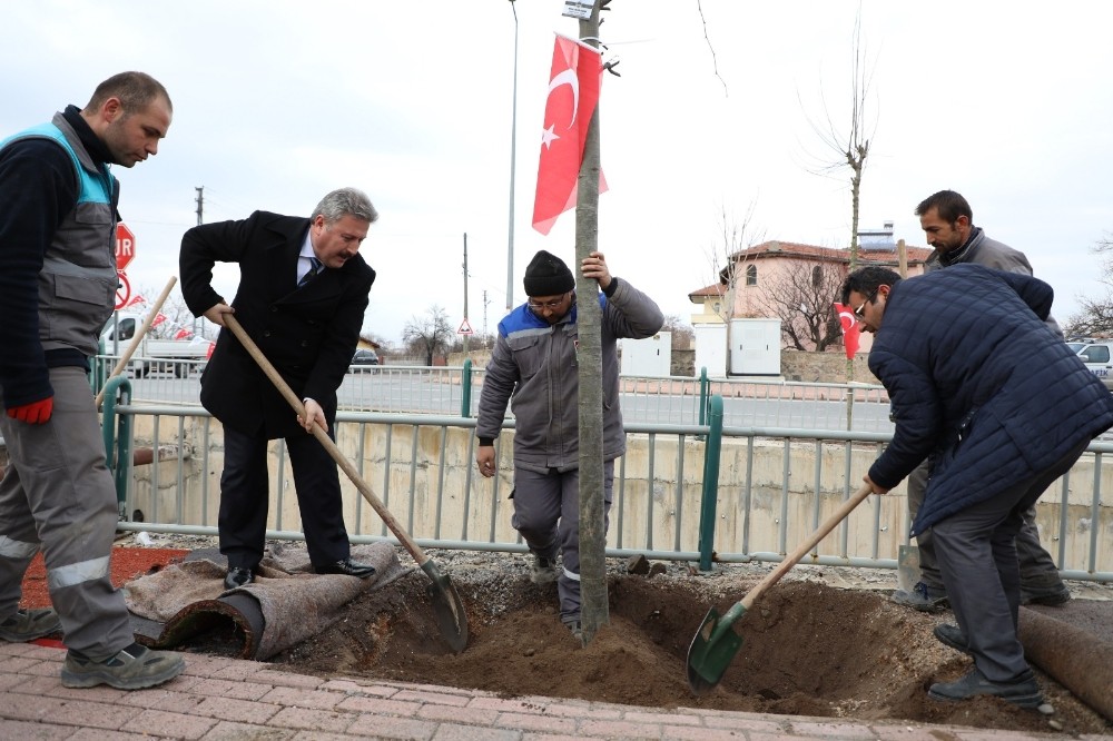 Melikgazi’de 2020 yılı ağaçlandırma ve yeşillendirme yılı olacak 