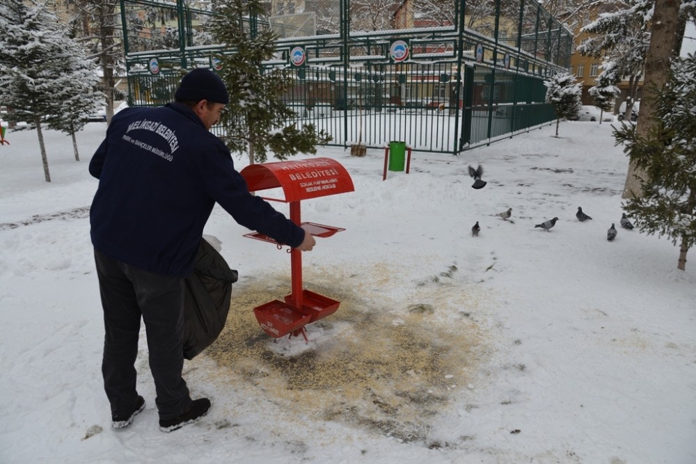 Melikgazi’de sokak hayvanları unutulmadı 