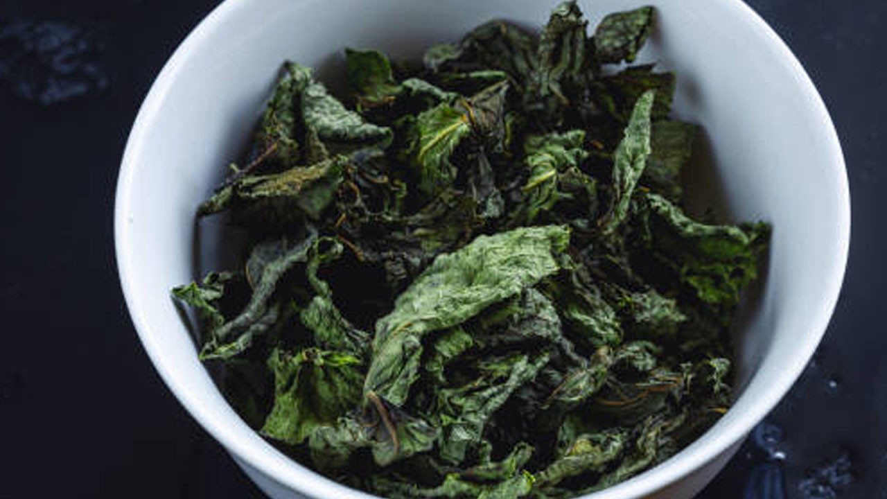 Melisa çayı, sadece bir çay değil tam bir şifa kanağı