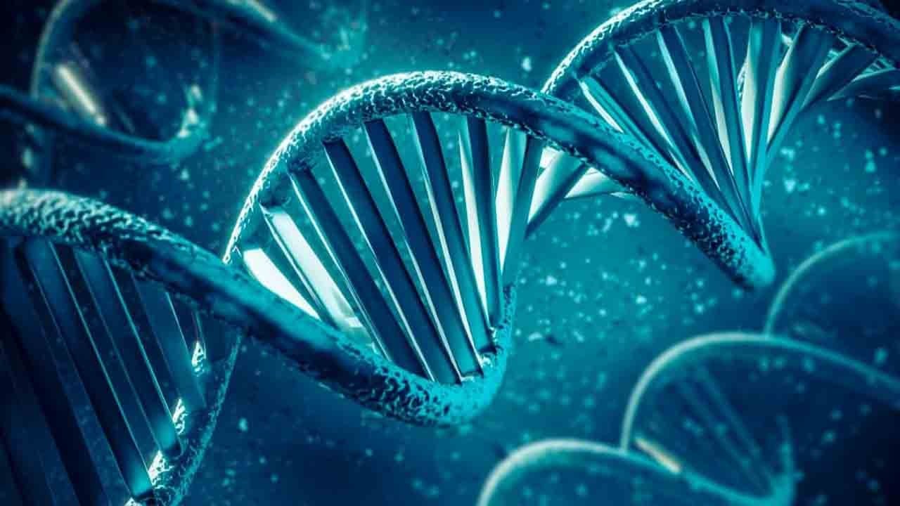 Mendel yasaları yıkılıyor! Çevre kalıtımı nesilden nesile aktarıyor