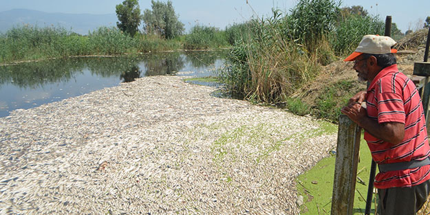 Menderes Nehri alarm veriyor!