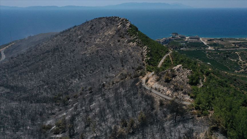 Menderes yangınından geriye kalanlar yürekleri yaktı