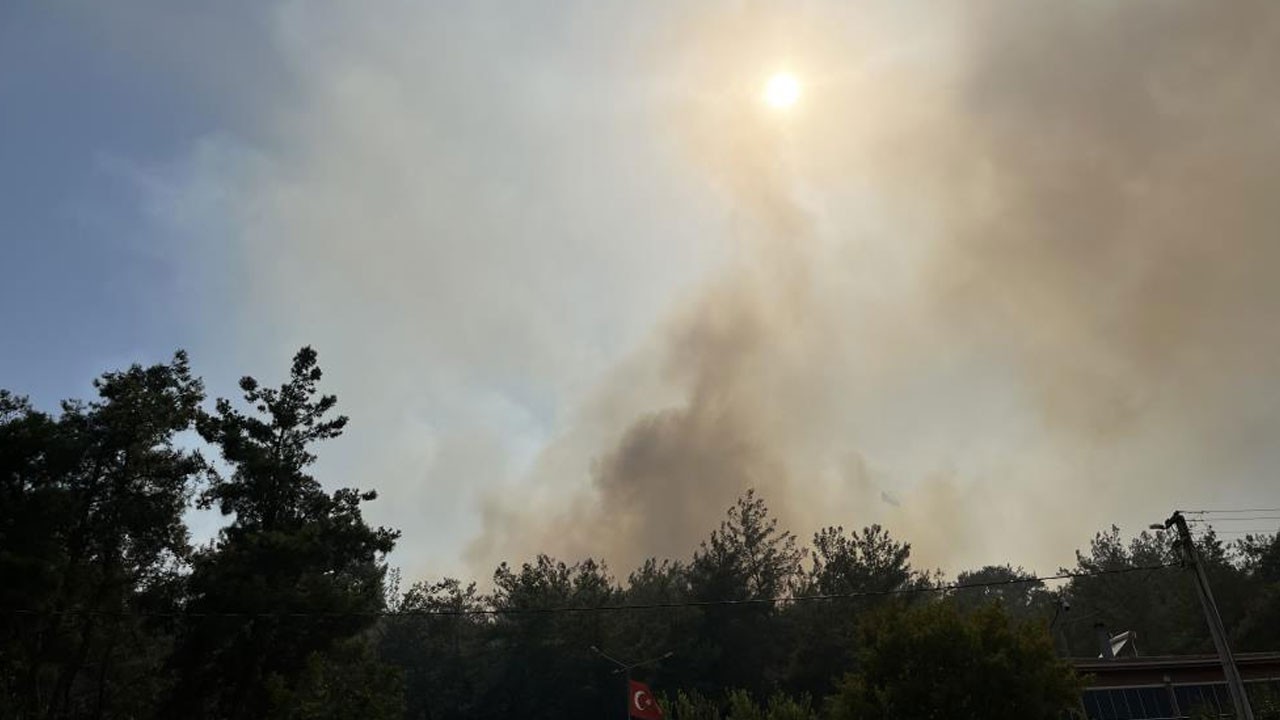 Menderes'teki orman yangınının sebebi kaynak makinesi çıktı