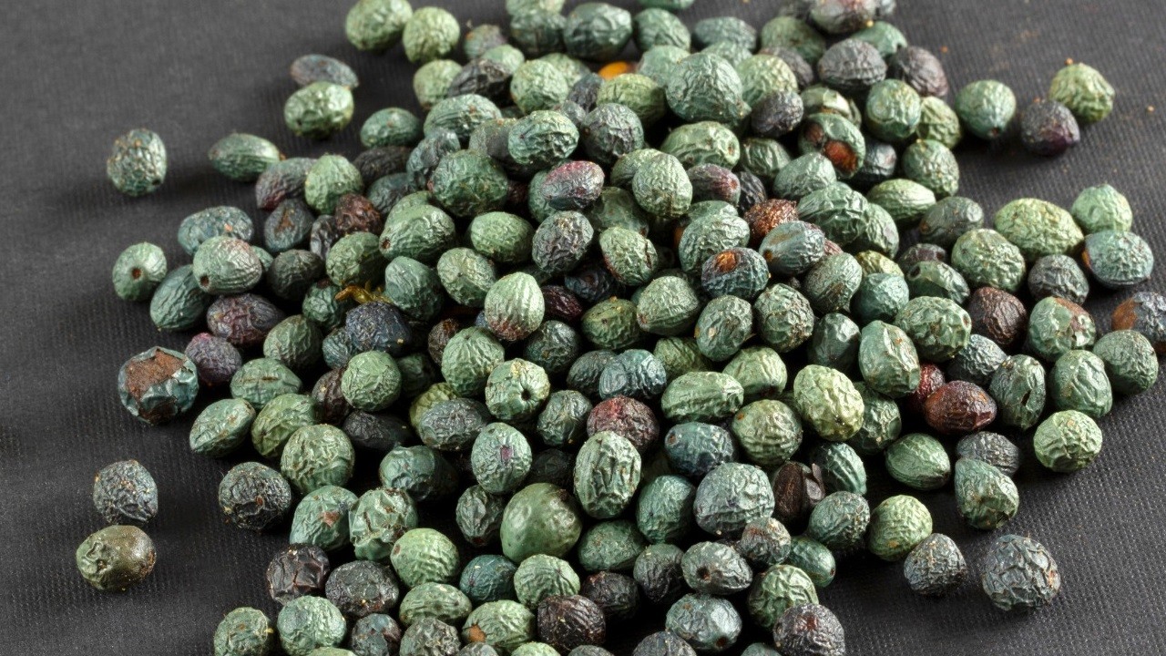 Menegiç ile ilgli merak ettiğiniz her şey!