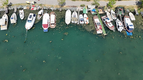 Menekşe deresi kaderine terk edildi! Marmara Denizi için büyük tehdit