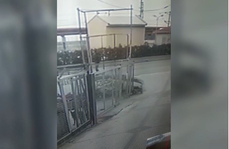 Menemen’de başıboş köpeklerden kaçan küçük kız çocuğuna araç çarptı 