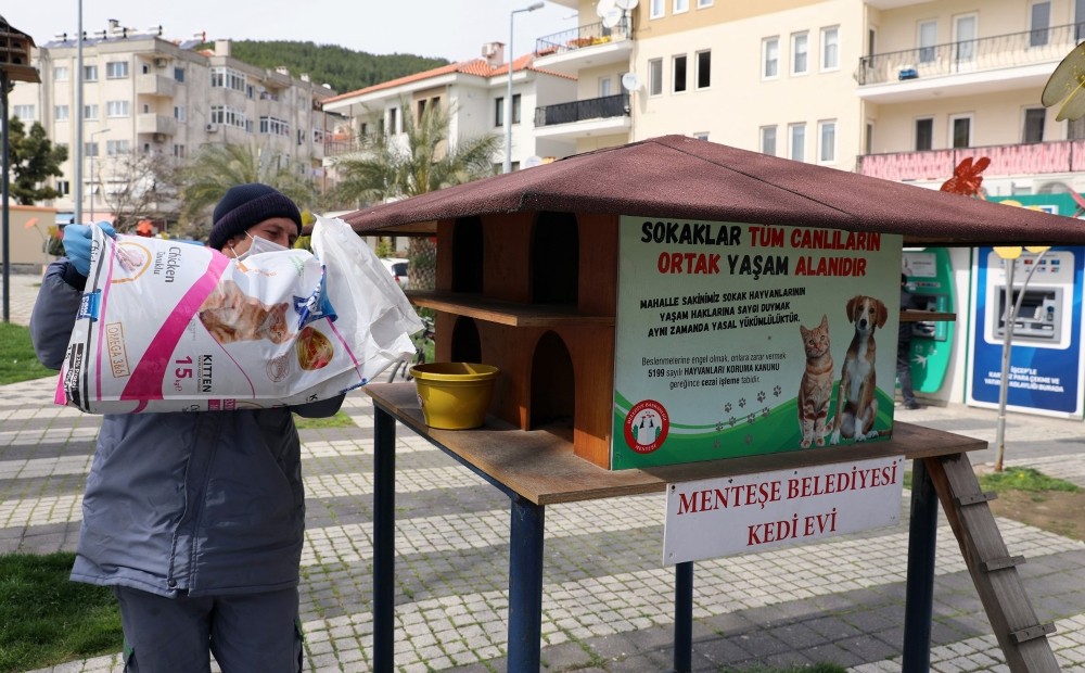 Menteşe’de ‘Can Dostlara’ mama takviyesi 