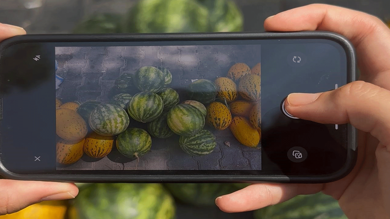 Merak edip test ettiler: Yapay zekaya karpuz seçtirdiler! İşte sonuç