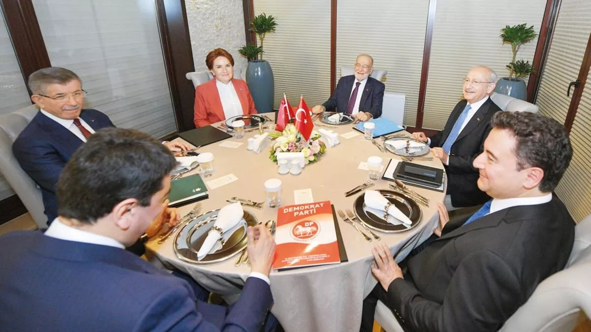 Meral Akşener, bu yazıyı okuyunca resmen deliye dönecek