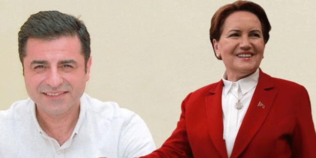 Akşener, Demirtaş'a "terörist" diyemedi