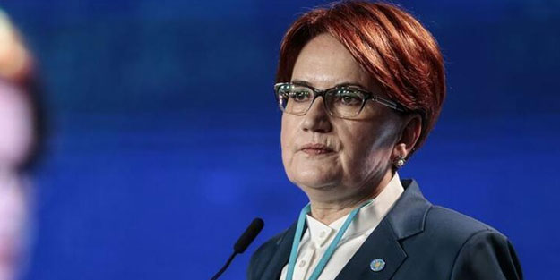 Meral Akşener sözde soykırım üzerinden hükümeti hedef aldı