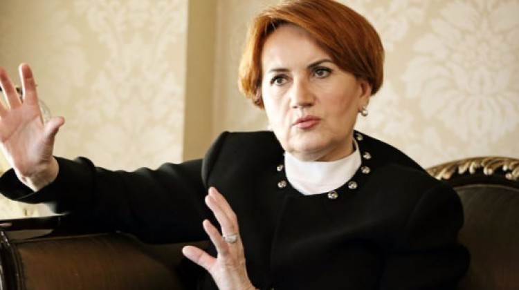 Meral Akşener'den bozkurt ve Türkeş yasağı!