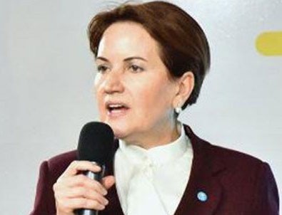 Meral Akşener'den skandal Tweet!