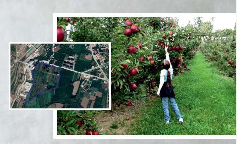 Mergiç Park Düzce’nin akciğeri olacak 