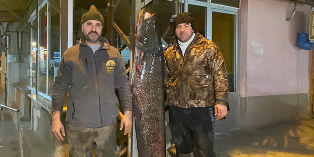 Meriç Nehri'nde 2 metre, 70 kilo yayın yakaladılar