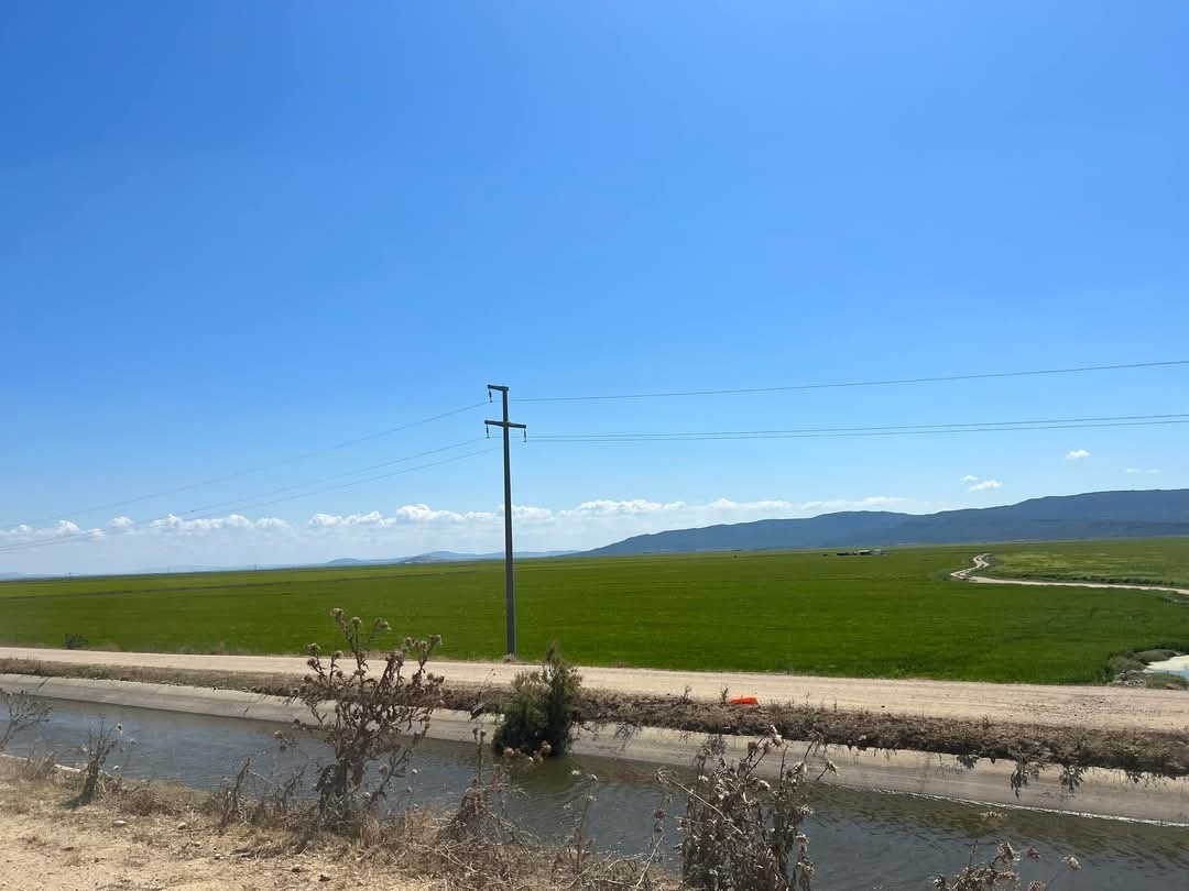 Meriç nehrine set çekildi! Sebebi şaşırtıyor