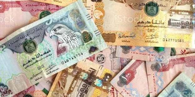 Merkez Bankası'ndan flaş karar! BAE Dirhemi ve Azerbaycan Manatı kararı