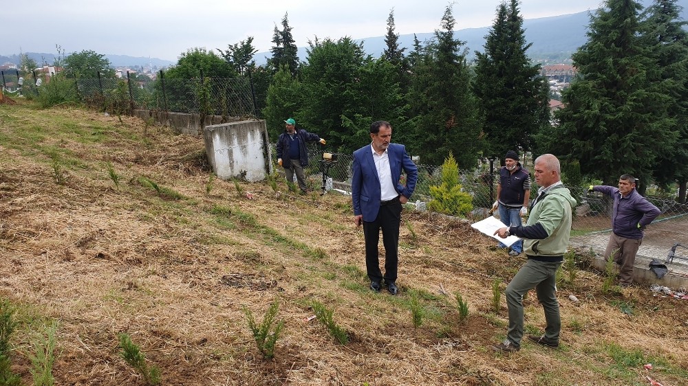 Merkez mahalle mezarlığında düzenleme başladı 