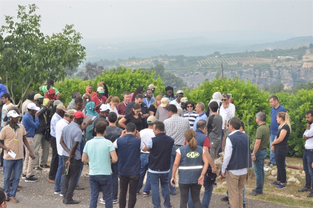 Mersin, 18 ülkeden ormancı ve çevrecilere ev sahipliği yaptı Yeni Akit