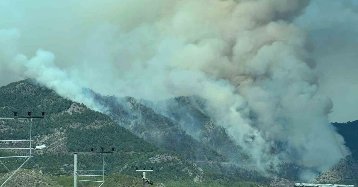 Mersin Bozyazı'da sera alanından ormana yayılan yangına havadan ve karadan müdahale