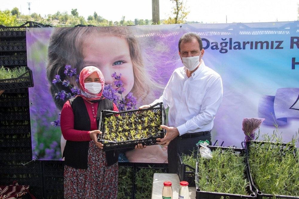 Mersin, lavanta üretiminin merkezi olacak 
