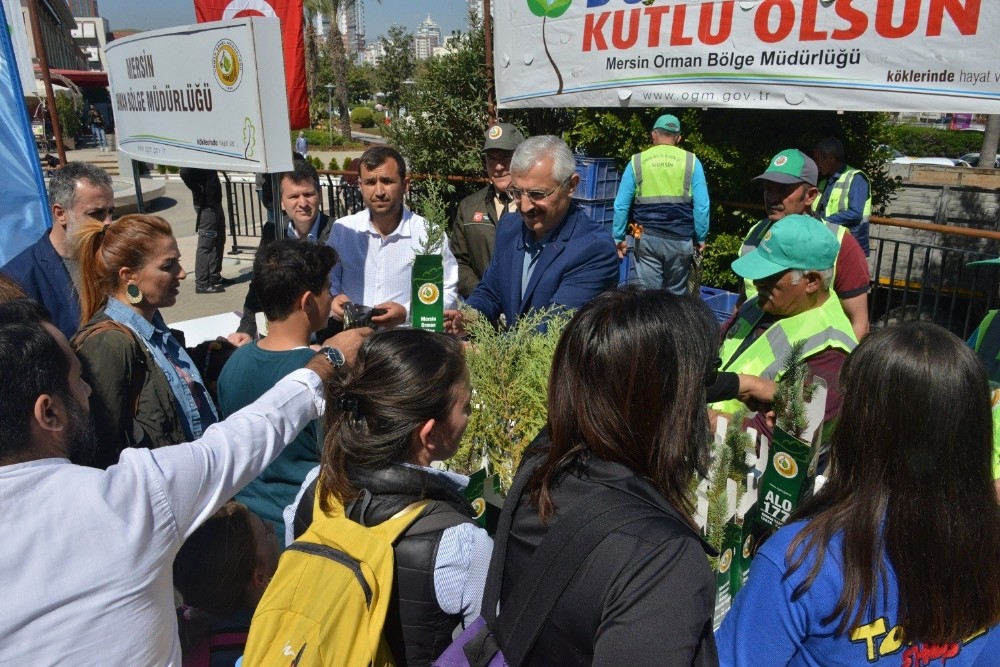 Mersin Orman Bölge Müdürlüğü 5 bin adet fidan dağıttı 