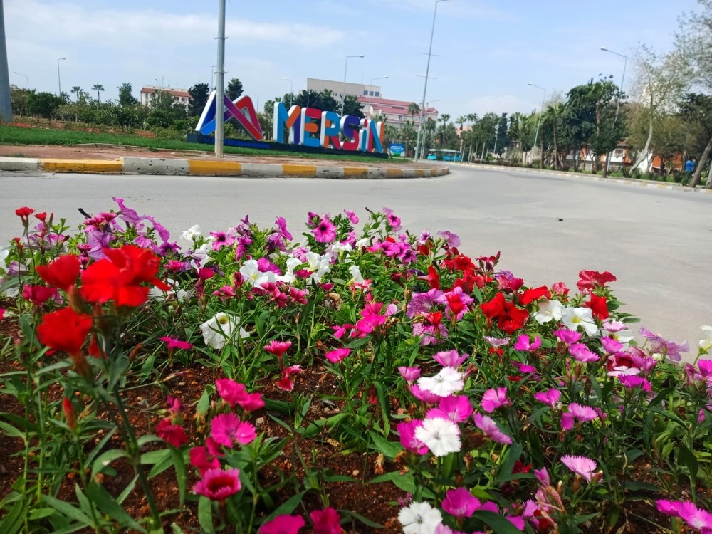 Mersin, yaz çiçekleriyle renklendi 