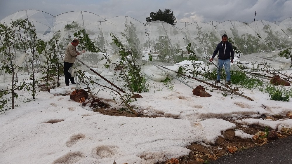 Mersin’de 1 saat yağan dolu tarlalara zarar verdi 