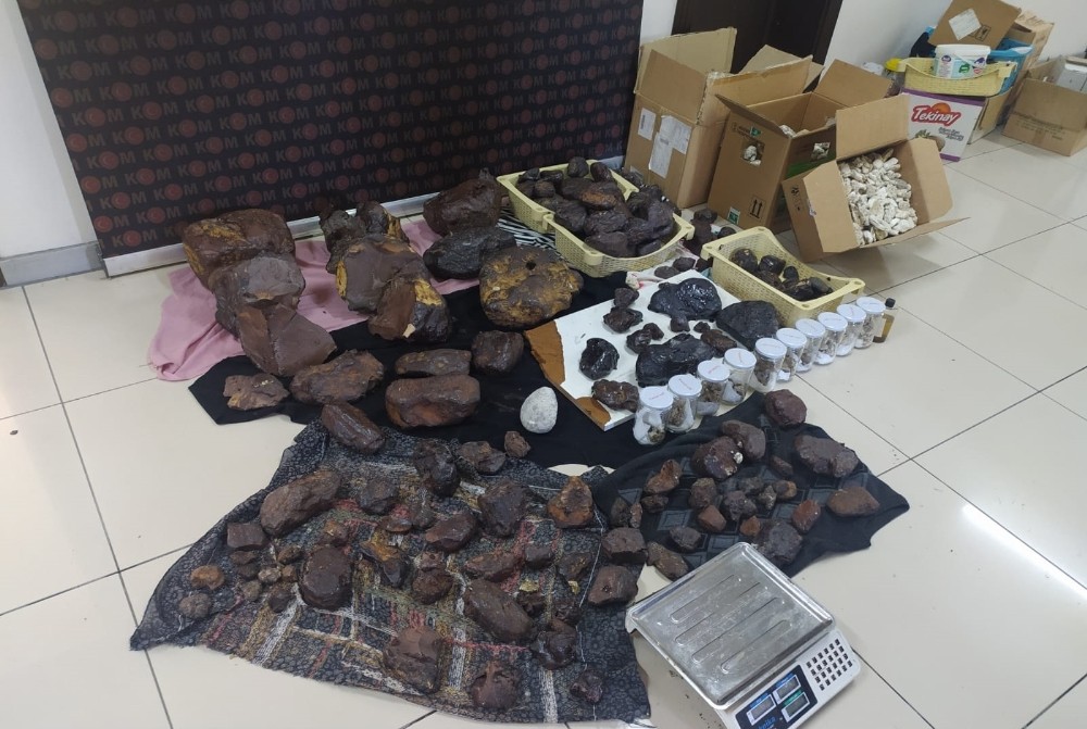 Mersin’de 145 kilo balina kusmuğu ele geçirildi 