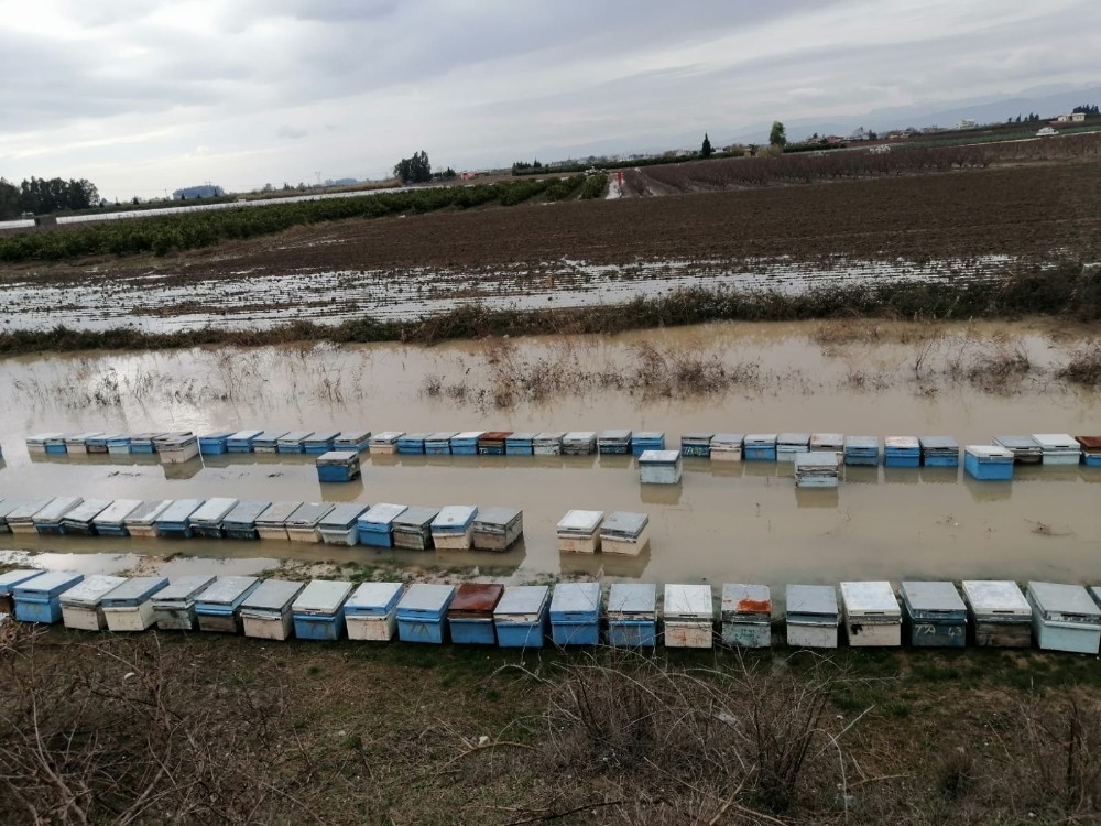 Mersin’de 15 bin arı kovanı sular altında kaldı 