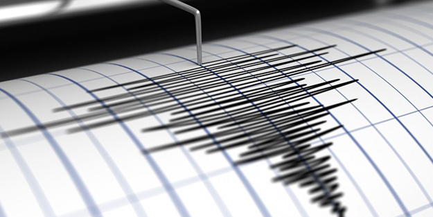 Mersin'de deprem paniği