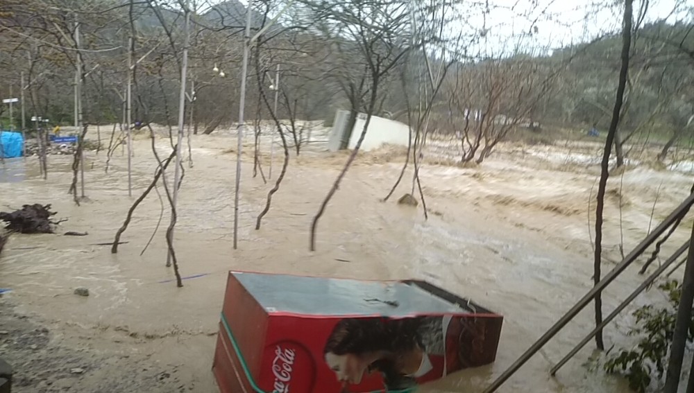 Mersin’de 5 tonluk konteyner ev sele kapıldı 