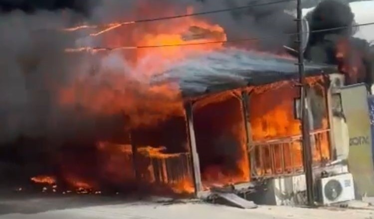 Mersin'de çıkan yangınları itfaiye ekipleri söndürdü