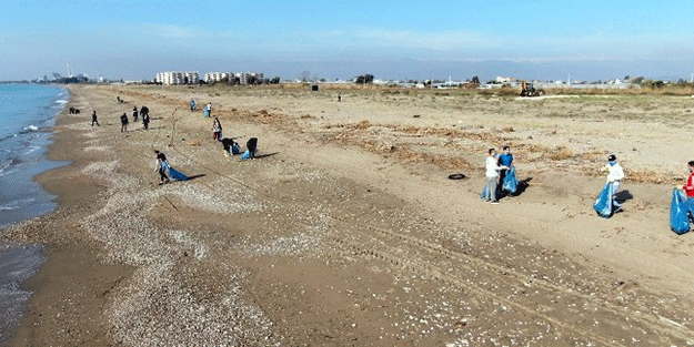 Mersin'de deniz kaplumbağalarının yuvalama alanları temizlendi